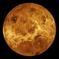 Venus's picture